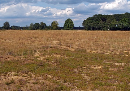 praktijkproef-noordenveld-dv-17-09-14-4