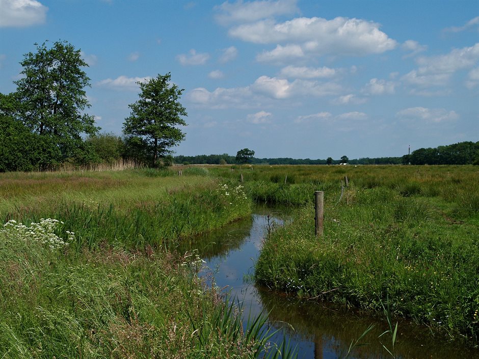 Geelbroek 23-5-07 (5)