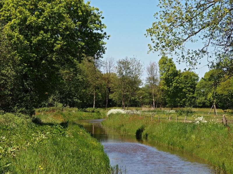Beekdal Orvelte