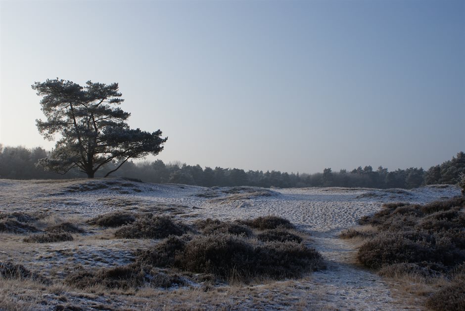 Drouwenerzand