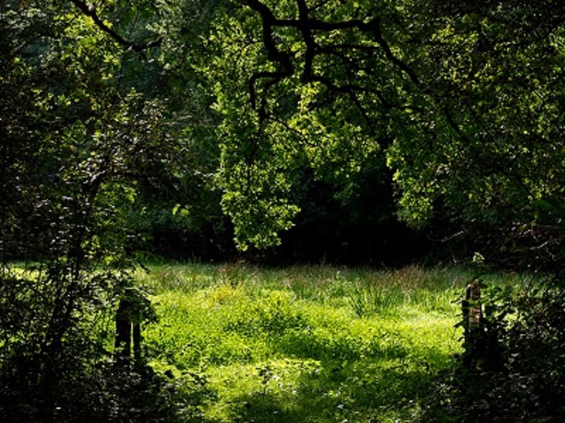 Kleibos Roderwolde
