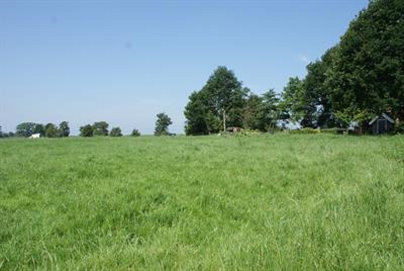 Stobbenven2