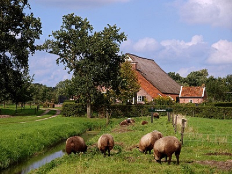 Tichelwerk Foxwolde