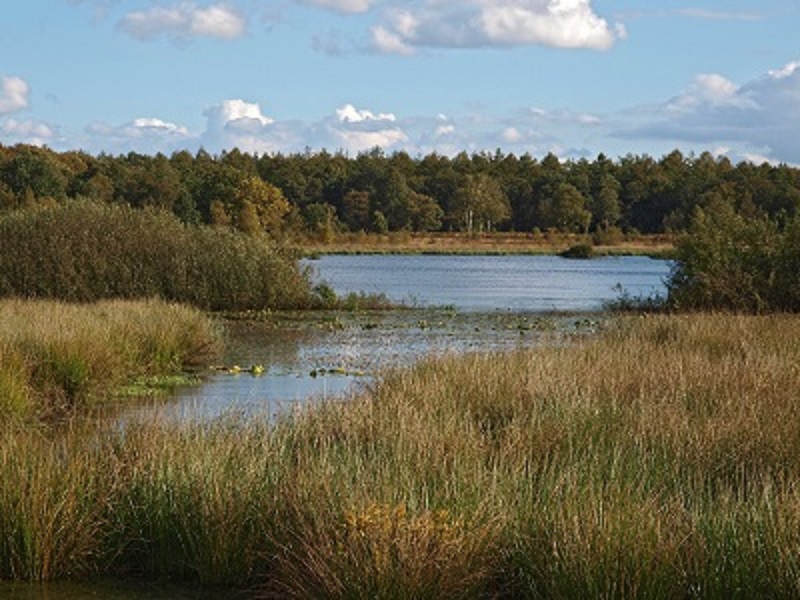 Het Mekelermeer