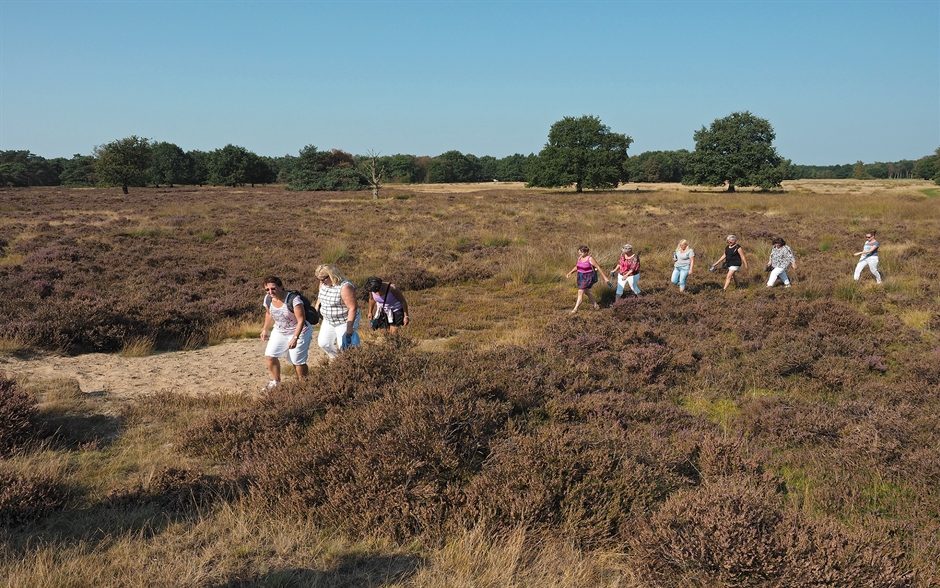 Heide Reijntjesveld