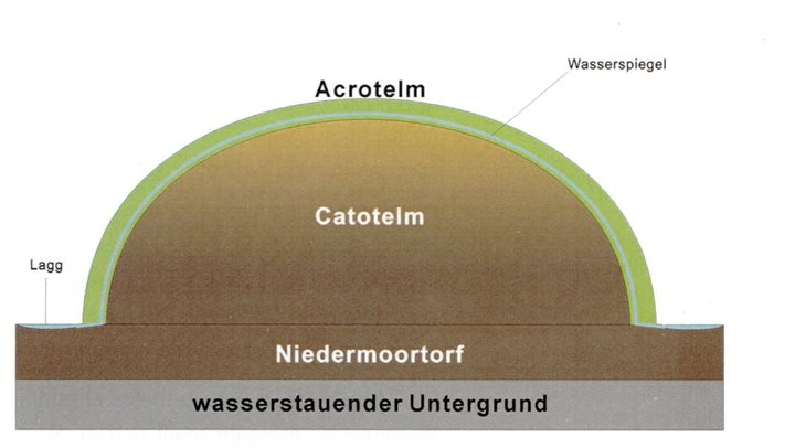 Acro- en Catotelm, Dr. André M. Jansen