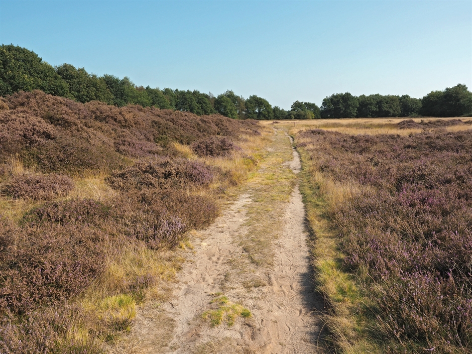 Reijntjesveld Orvelte