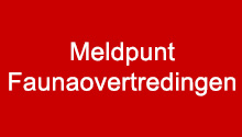 meldpunt_faunaovertredingen