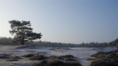 drouwenerzand