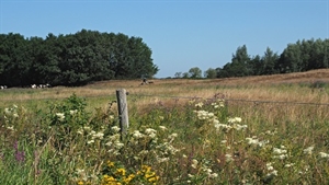 Duunsche Landen