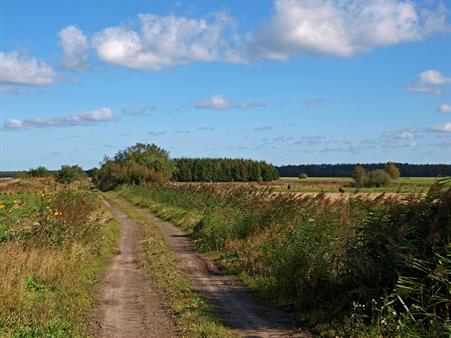 Odoornerveen, Zandpad naar Achterweg, Bron: H. Dekker