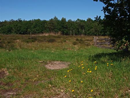 Zuidwolde Klein Zwitserland, Bron: H. Dekker