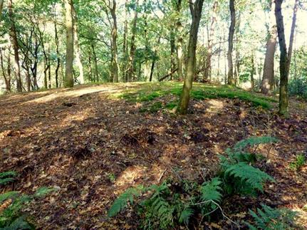 Zuidwolde: grafheuvel Ekelenberg, Bron: H. Dekker