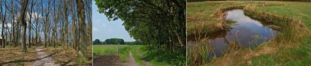 Landschappelijke reeks van brink, es en beekdal, Bron: H. Dekker