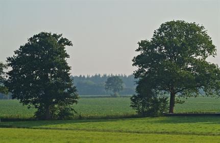 Bisschopsberg, Bron: H. Dekker