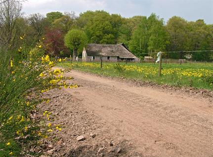 Frederiksoord 28-4-04 (7)