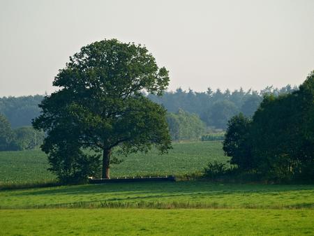 Bisschopsberg Havelte
