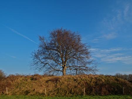 motte Borchbargien