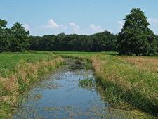 Westerborkerstroom, Zwiggelte, Bron: H. Dekker