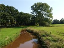 Reest, De Wijk, Bron: H. Dekker