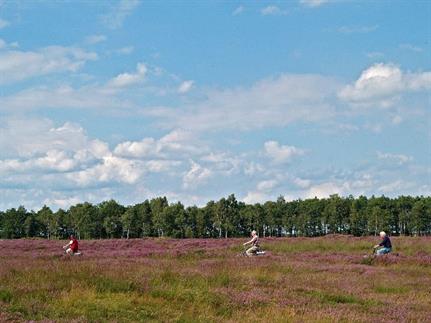 Balloërveld: karresporen, Bron: H. Dekker