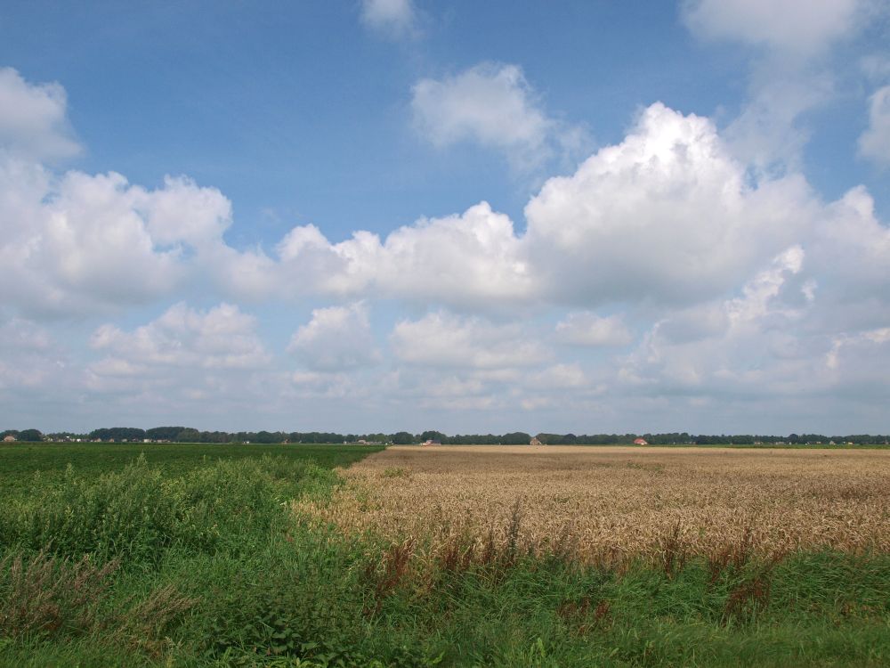 valtherdijk-17-08-11-4-