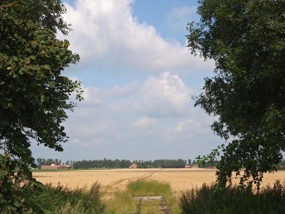 monden-valtherdijk-17-08-11-2-