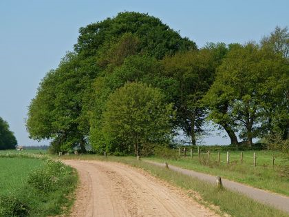 Bronneger Pastoraal landschap