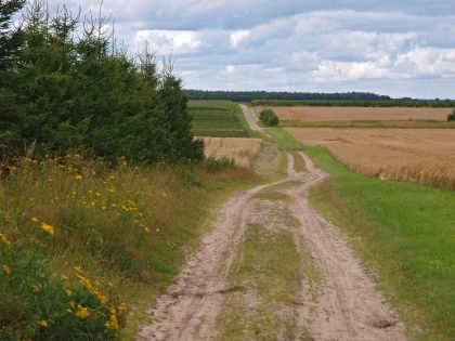 Exloo Noordenveld Golvend landschap van de Hondsrug