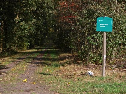 Odoorn Boswachterij Odoorn