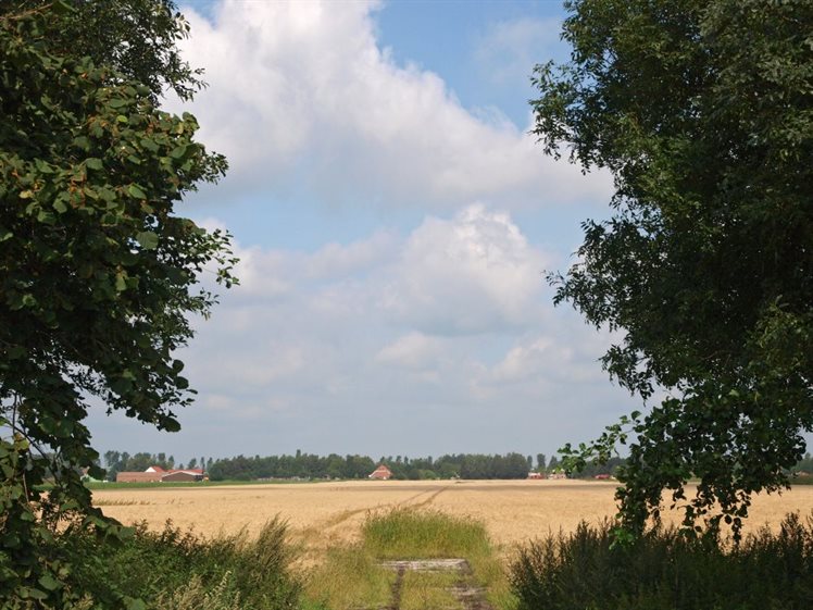 Monden Valtherdijk