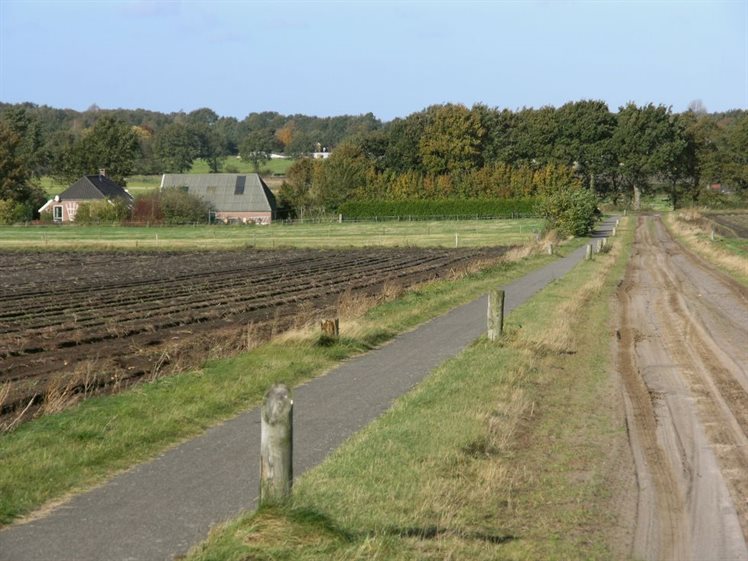 Buinen Zicht op de Hondsrug