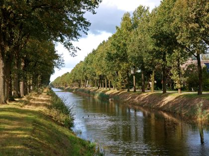 Odoornerveen Majestueuze eikenbeplanting