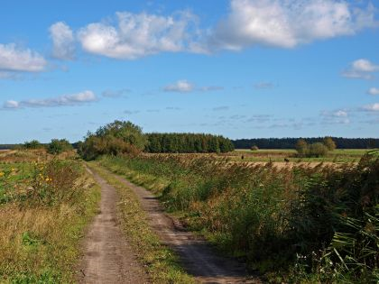 Odoornerveen, Zandpad naar Achterweg met boswachterij