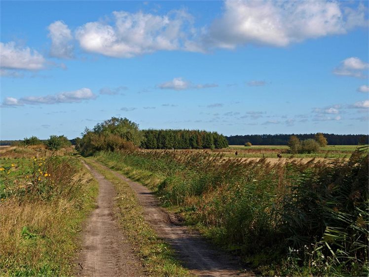 Odoornerveen zandpad naar Achterweg