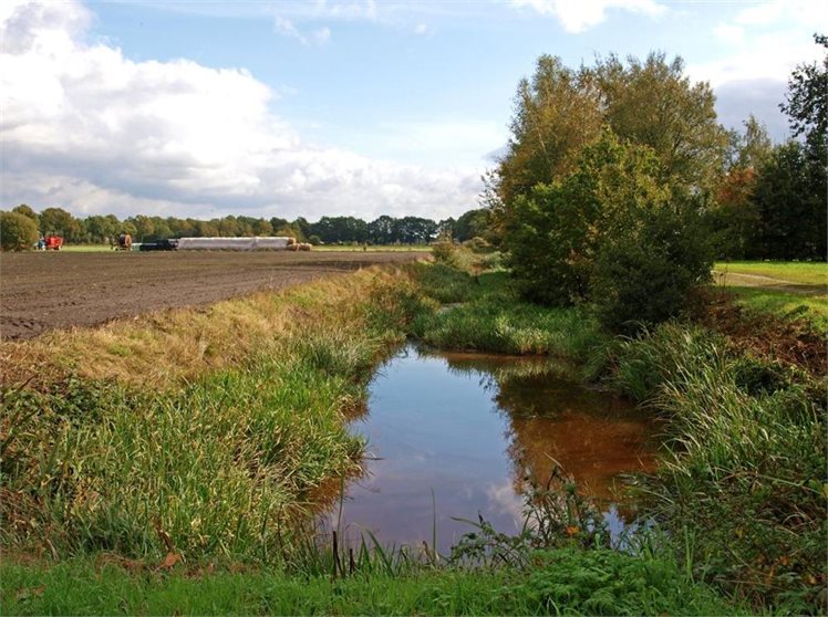 Odoornerveen maatschappijwijk