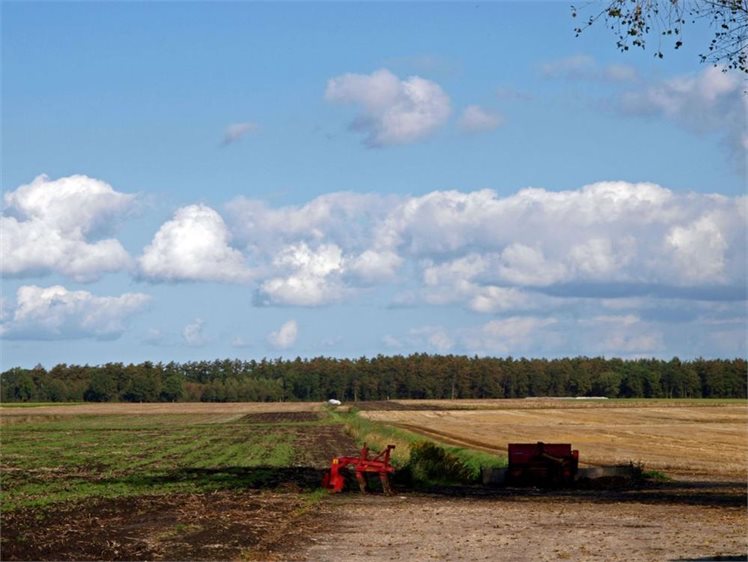 Landschap bij Odoornerveen