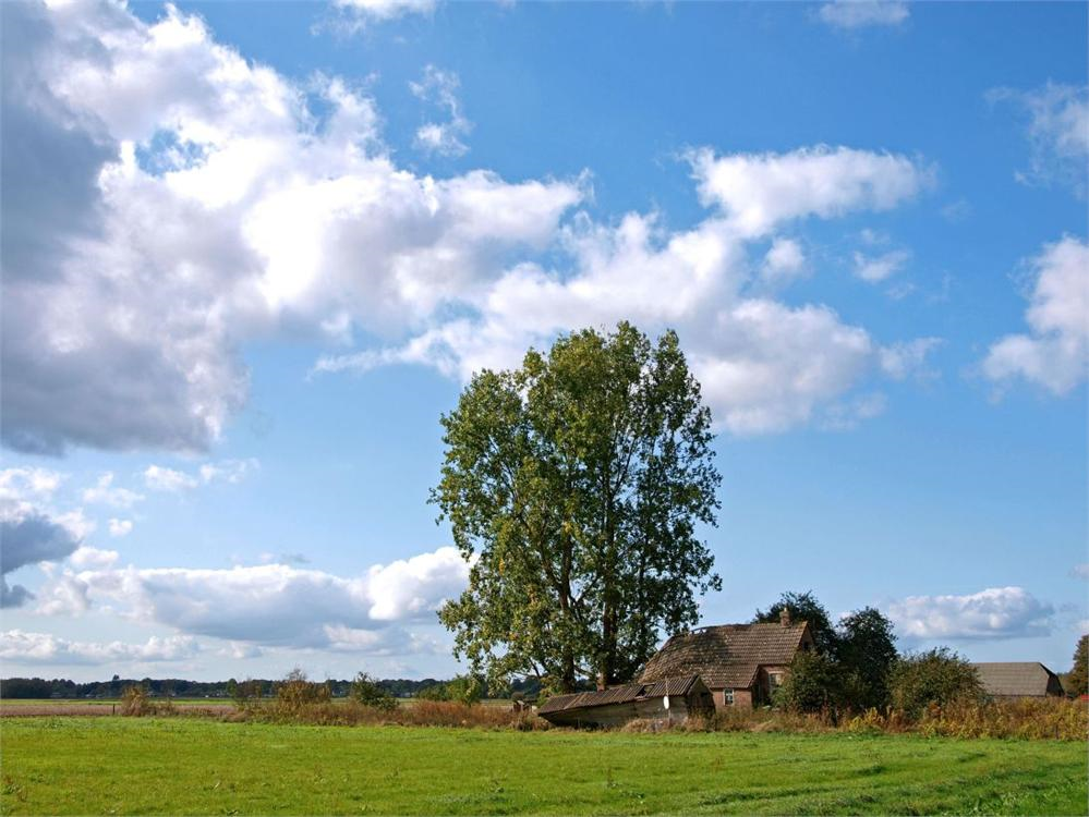 Odoornerveen