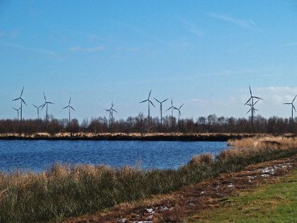 bargerveen-zuid-5-3-08-34-_web