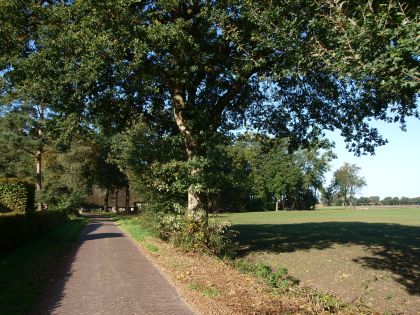 schoonebeek-westersebos-09-10-08-4-_web