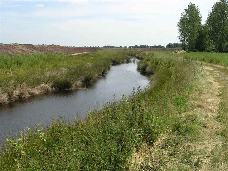 runde-zwartemeer-14-6-05-2-