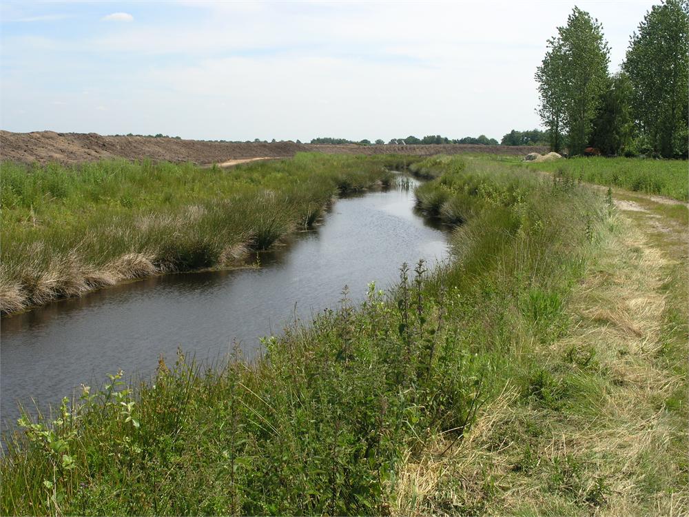 runde-zwartemeer-14-6-05-2-
