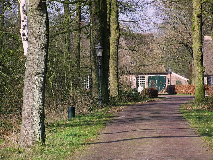 schoonebeek-oostersebos-5-3-04-1-