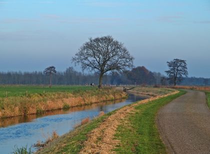 wold-aa-18-11-07-16-_web