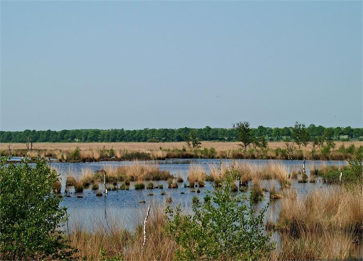 fochteloerveen_14-5-08_12