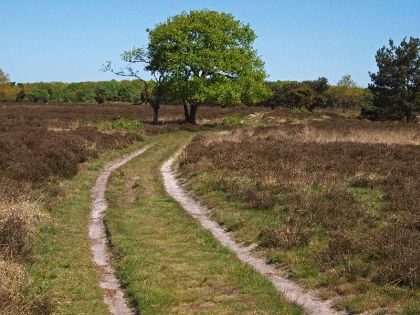 mantingerveld-19-05-10-16-_web