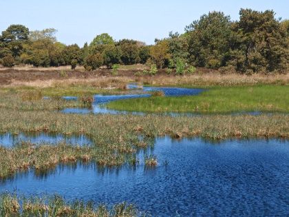 mantingerveld-19-05-10-21-_web