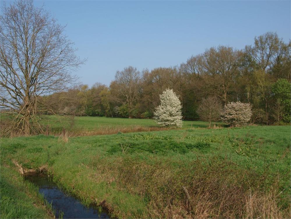 hollandscheveld-18-04-11-2-_web