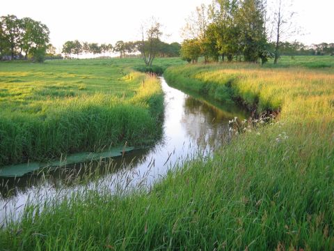 drentsche-aa-bij-loon_web