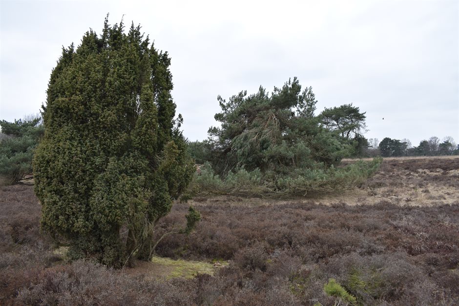 Foto: Gerrie Koopman